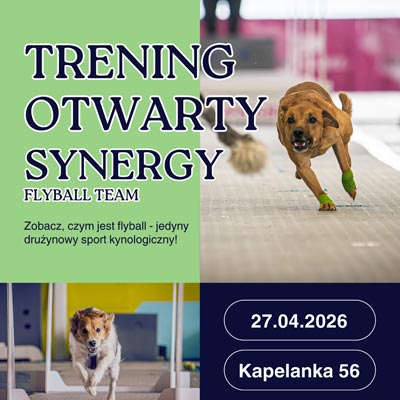 Krakowski Kongres Miejski